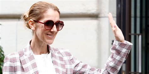 celine dion tweeling